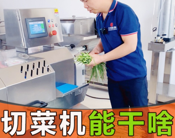 Vegetable cutters are divided into large, medium and small models. What vegetables can they cut?